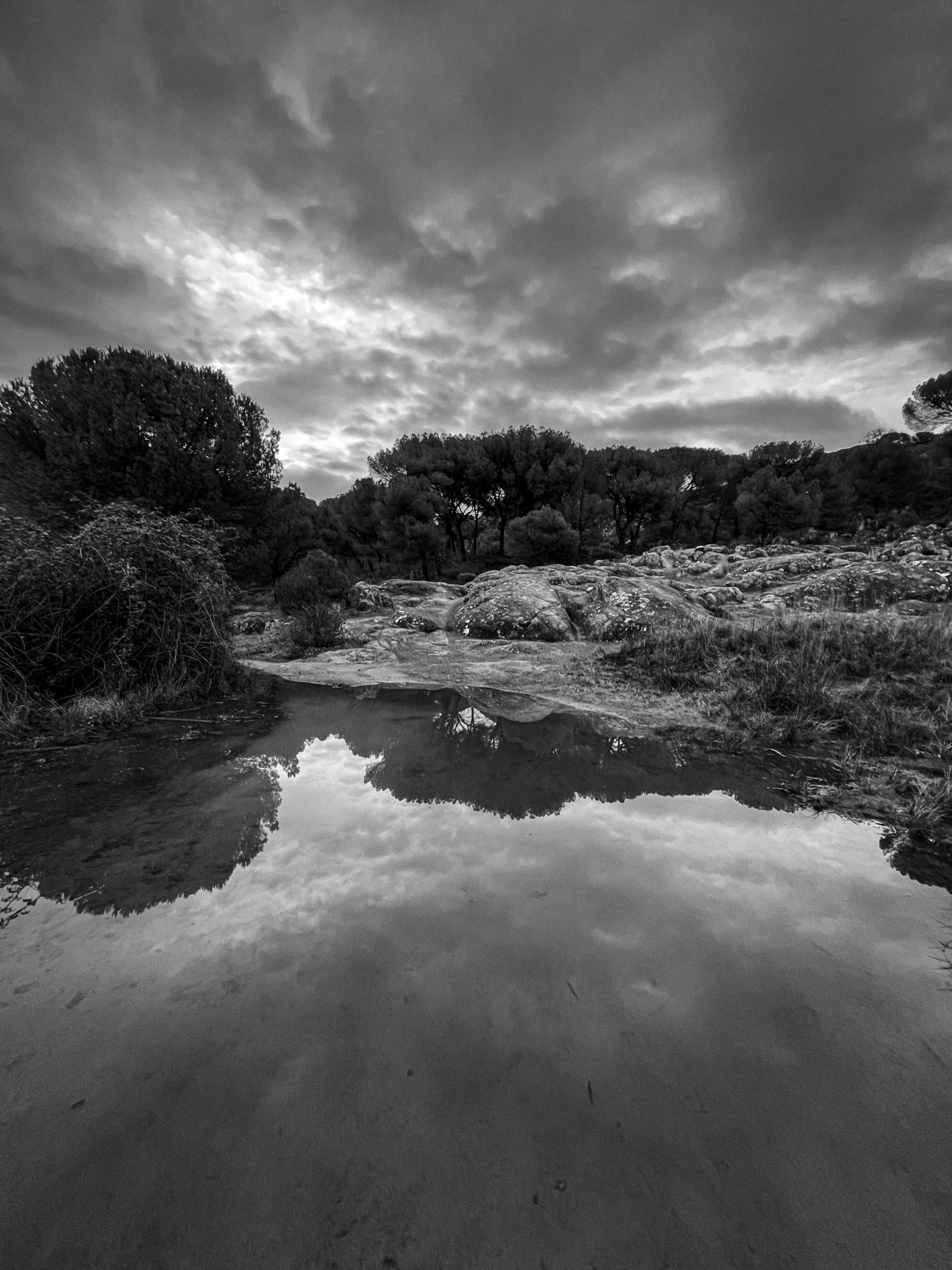 Foto 7-2-23, 18 37 11